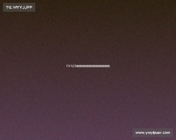 FIFA23直播世界杯激情赛场实时对决全球球迷共赏足球盛宴